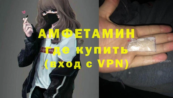 индика Михайловск