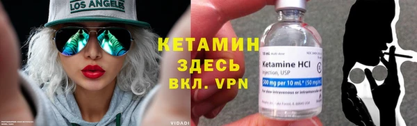 индика Михайловск