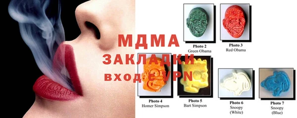 индика Михайловск