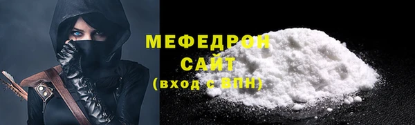 индика Михайловск