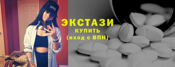 индика Михайловск