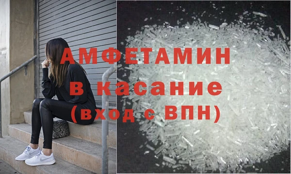 индика Михайловск
