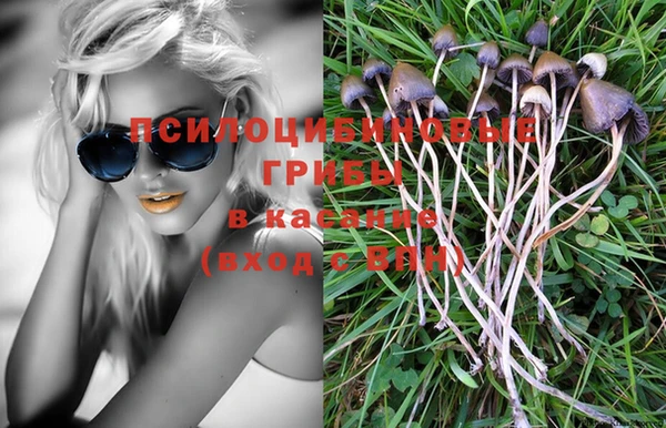 гидропоника Михайлов