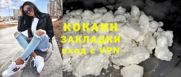 индика Михайловск