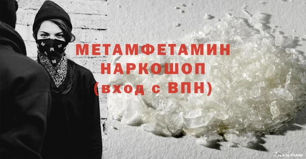 индика Михайловск