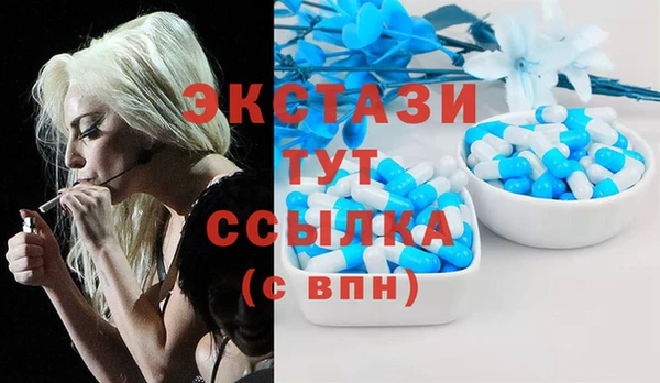 индика Михайловск