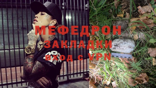 индика Михайловск