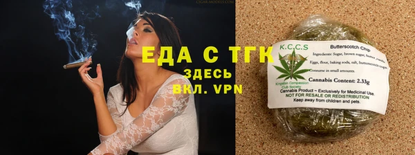 индика Михайловск